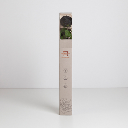Black Infinity Rose Short Stem