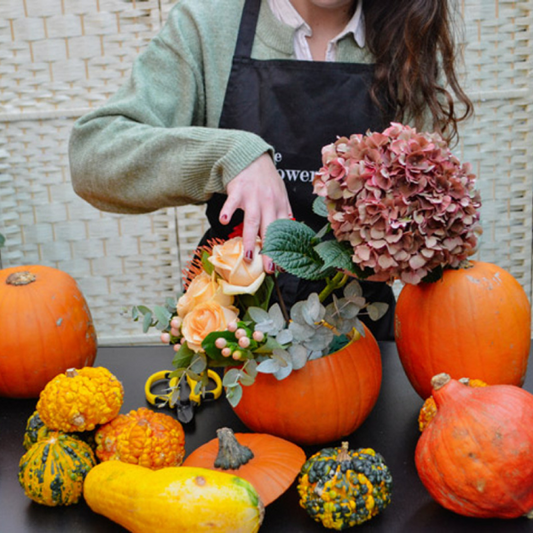 Let's Pumpkin